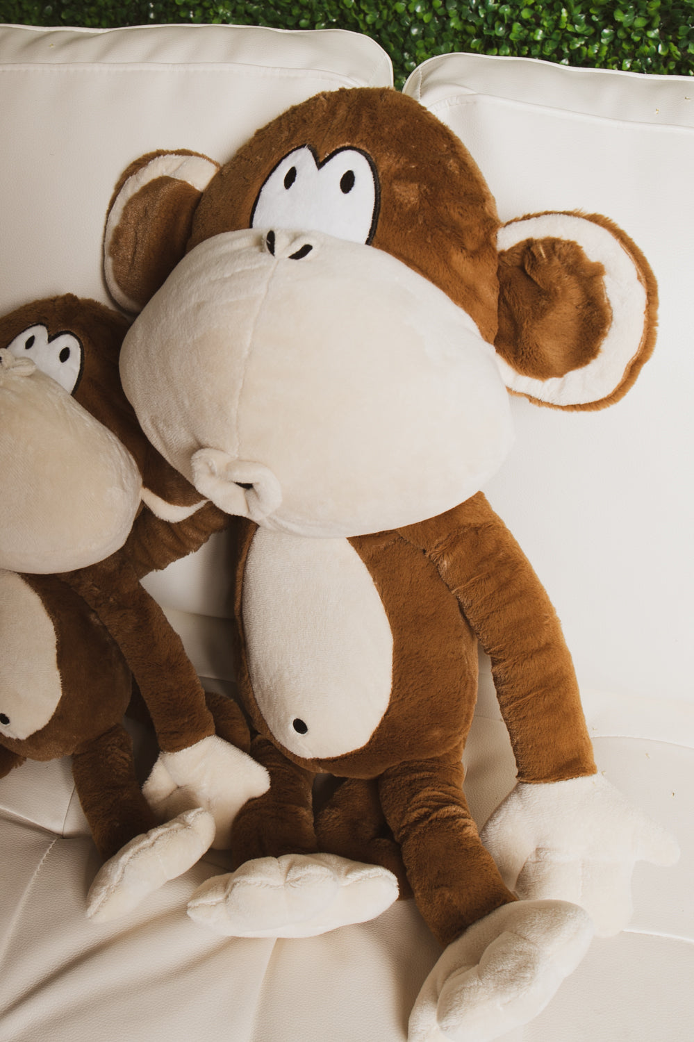 Bobby jack store monkey plush